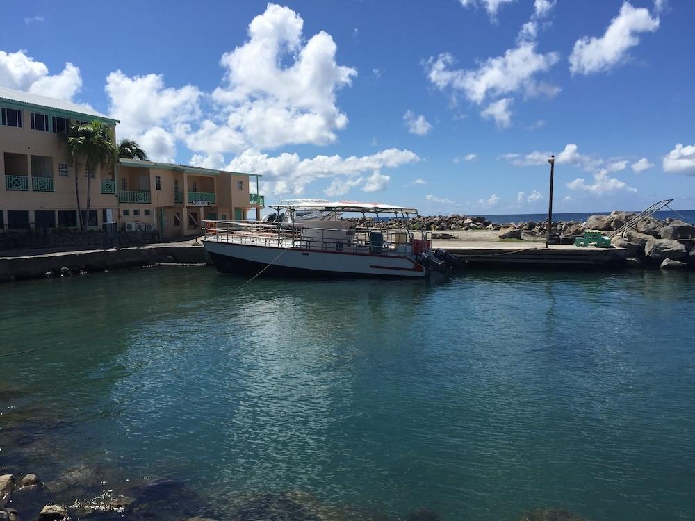 Bird Rock Beach Hotel Basseterre Exterior photo
